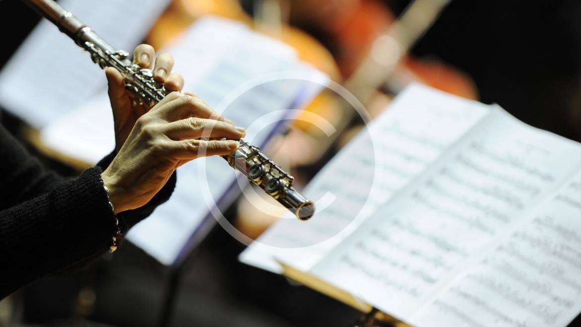 Western Concert flute